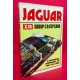 Jaguar XJR Group C & GTP Cars - A Technical Appraisal of the V12 cars