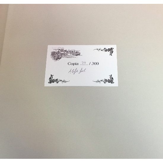 Back on Track - Racing in the 1940s