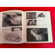The Beetle - Production and Evolution Facts & Figures Volume 1