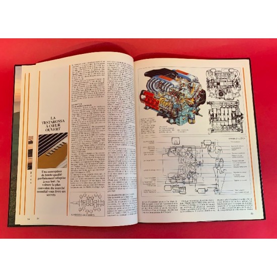 Fabuleuse Testarossa