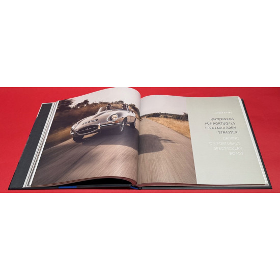 Amy Shore Road Trips