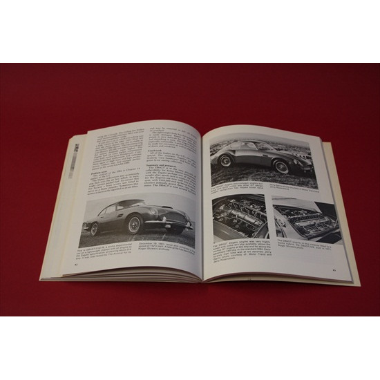 Illustrated Aston Martin Buyer's Guide