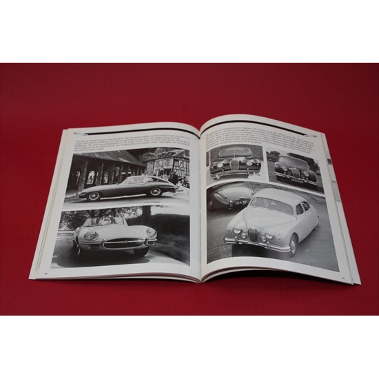 Jaguar XK Forty Years On