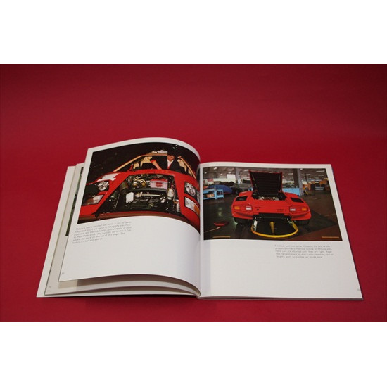 Lamborghini Supreme Amongst Exotics 