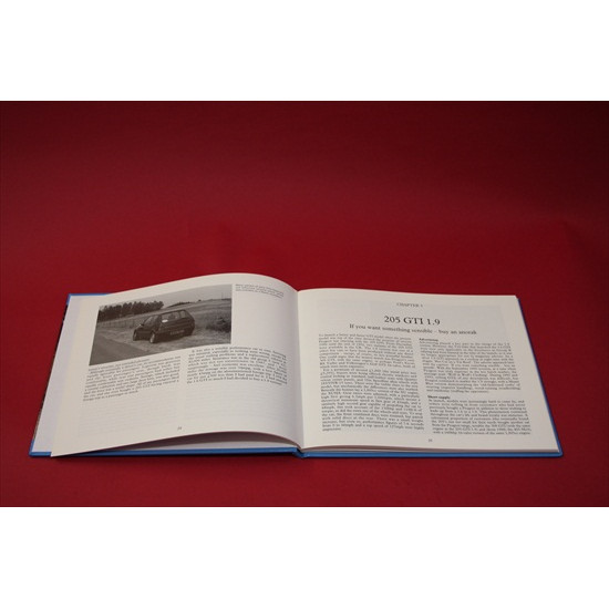 A Collector's Guide: Sporting Peugeot 205s