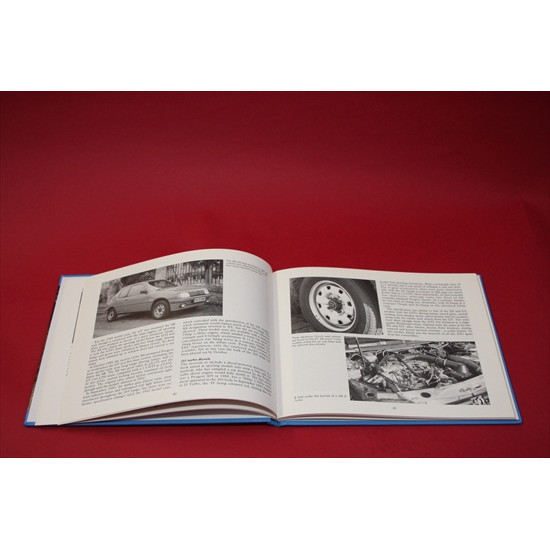 A Collector's Guide: Sporting Peugeot 205s