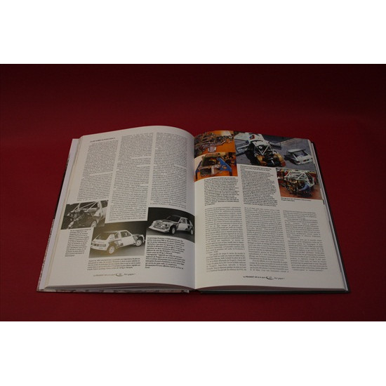 La  Peugeot  205  Et  Le  Sport 