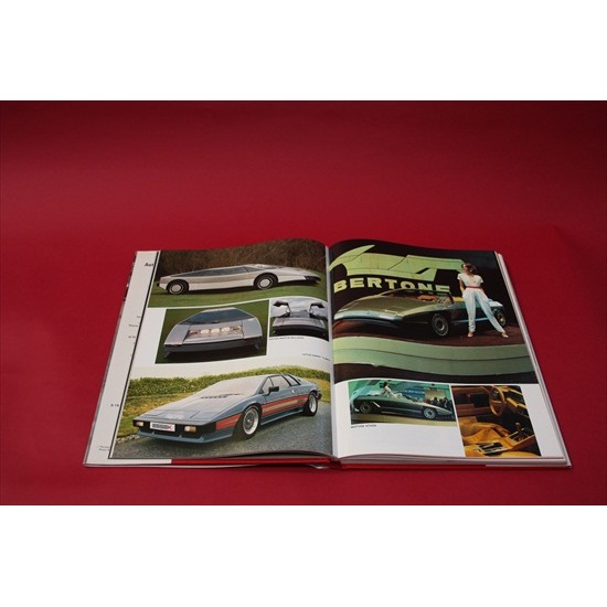 Automobile Year 28 1980-1981