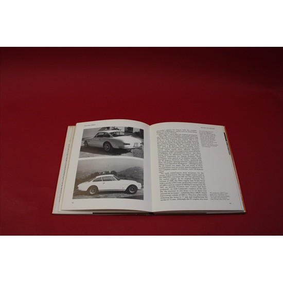 Ferrari 4 Seaters V12 Pininfarina 2+2;1960 on