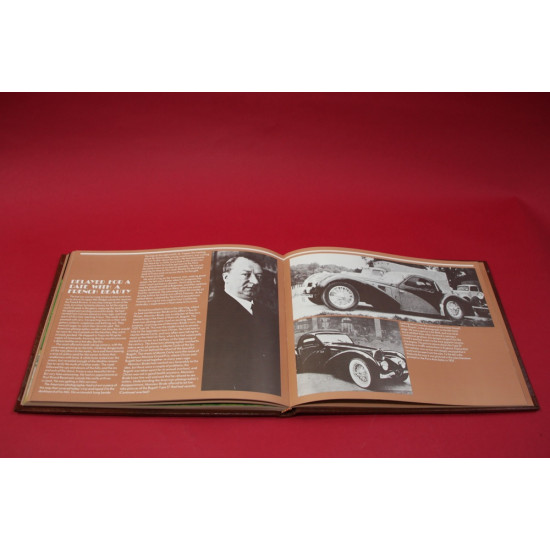 The Survivors Series 