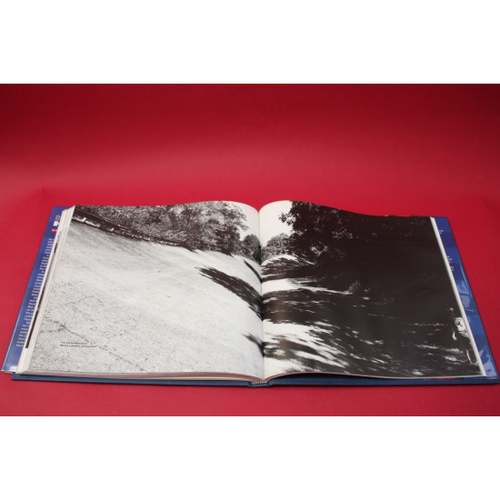 Damon Hill My Championship Year