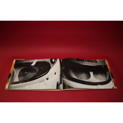 The Eyes the reverie of victory