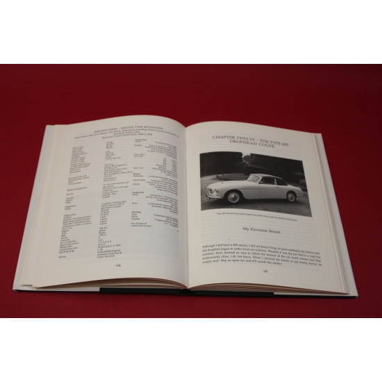 Bristol The Quiet Survivor Bristol The Quiet Survivor