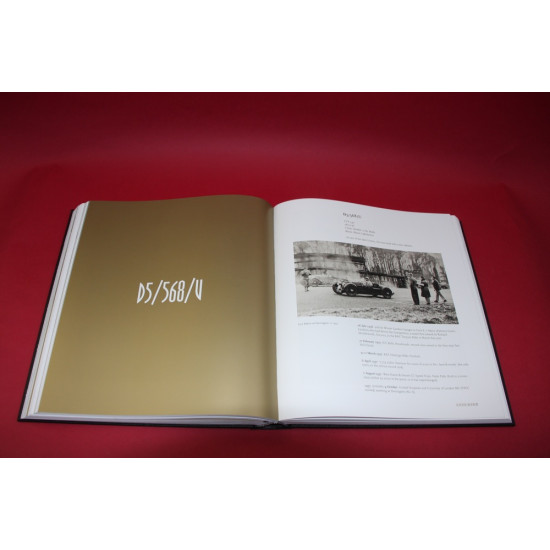 Aston Martin Ulster - Survivors and the Fittest