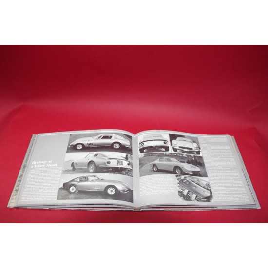 Ferraris For The Road The Survivors Series