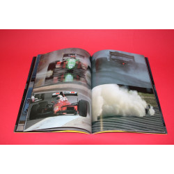 Emotion A Day in the Circuit