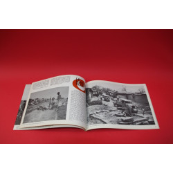 l'automobiliste No 29