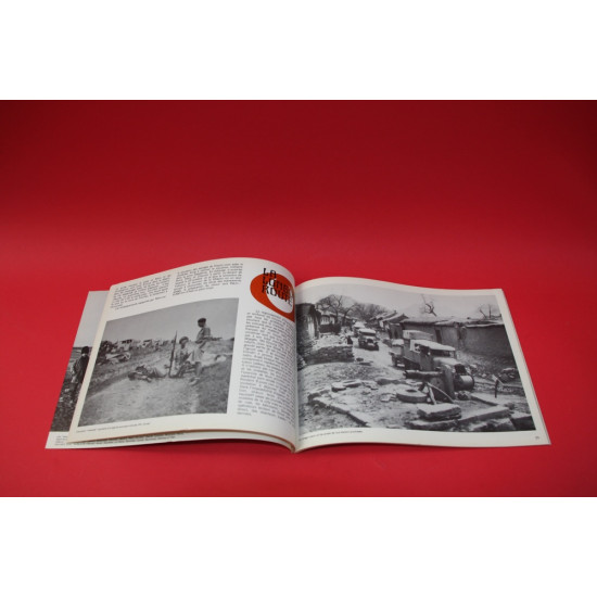 l'automobiliste No 29