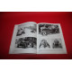 Alfa Romeo In Pictures