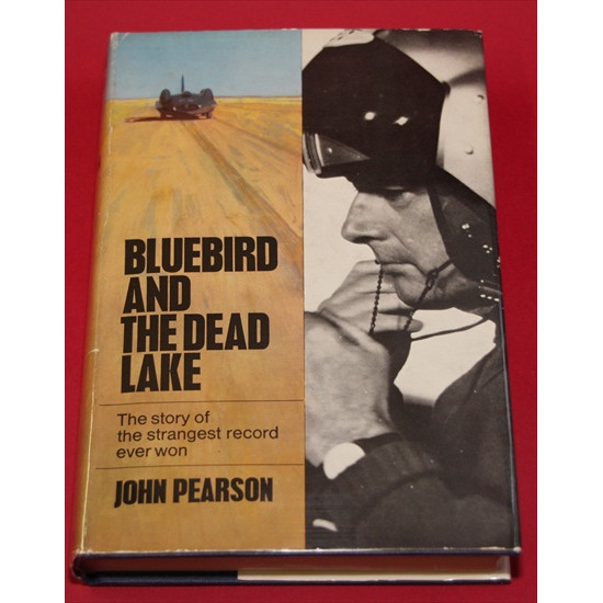 Bluebird and the Dead Lake