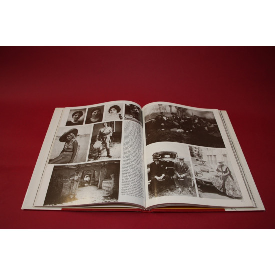 Tazio Vivo Tazio Vivo