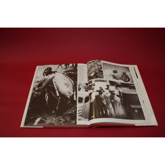 Tazio Vivo Tazio Vivo